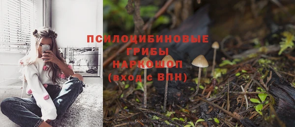каннабис Алексин