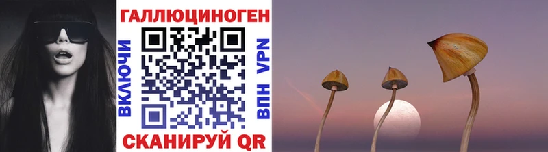 Галлюциногенные грибы MAGIC MUSHROOMS  это формула  Искитим 