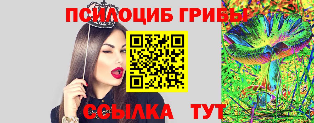 Галлюциногенные грибы Psilocybine cubensis Искитим